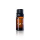 Oriental Scents (3).webp